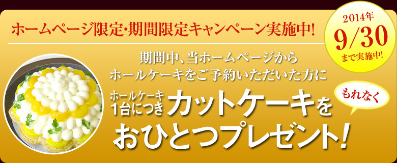 ホームページ限定ご予約キャンペーン