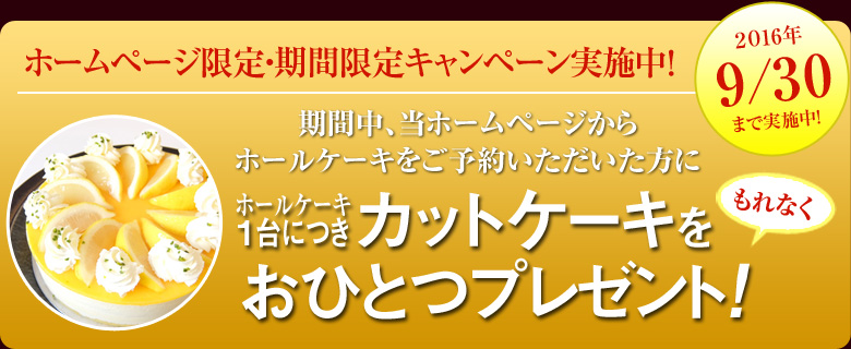 ホームページ限定ご予約キャンペーン